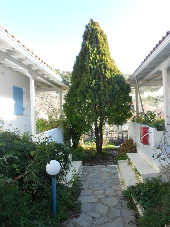 Blue White House